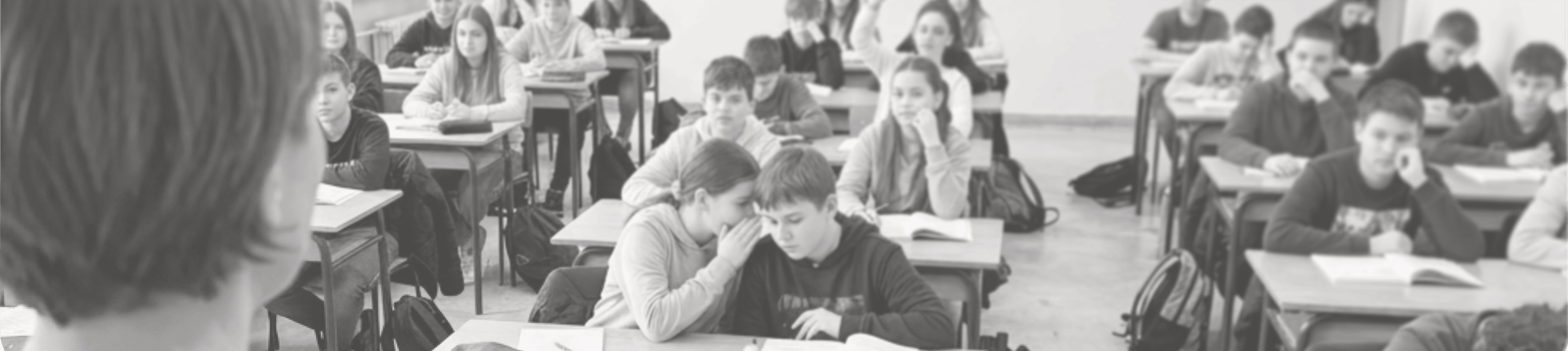 A classroom full of students — illustrating the 1:30 teacher-to-student ratio